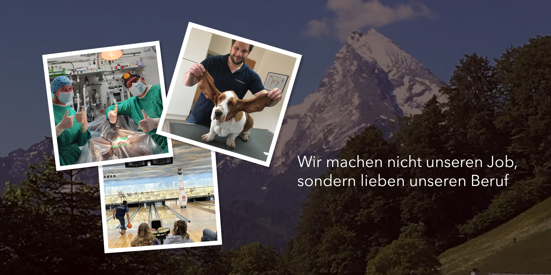 Teaserbild Tierarztpraxis Rupertiwinkel 